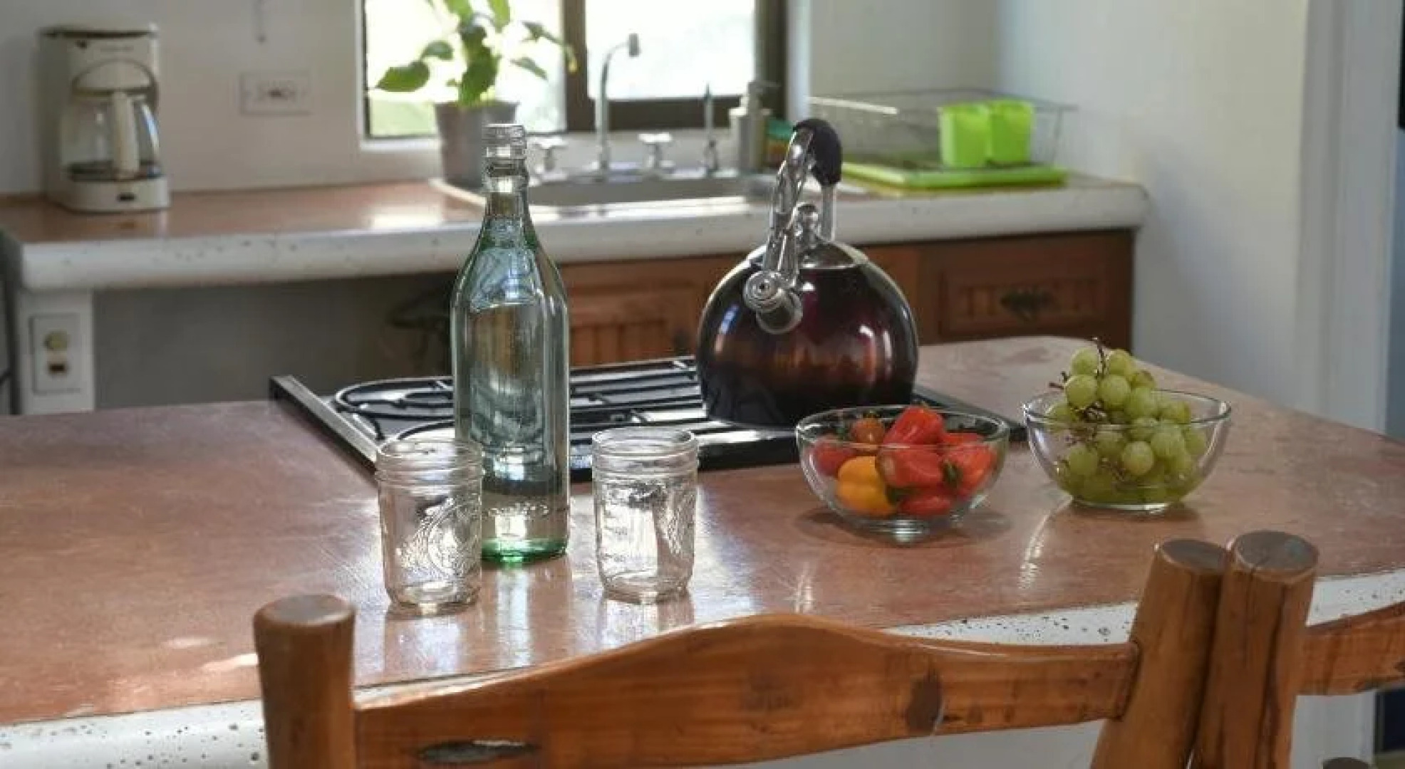 Perro Surfero Hotel Boutique - Todos Santos, BCS