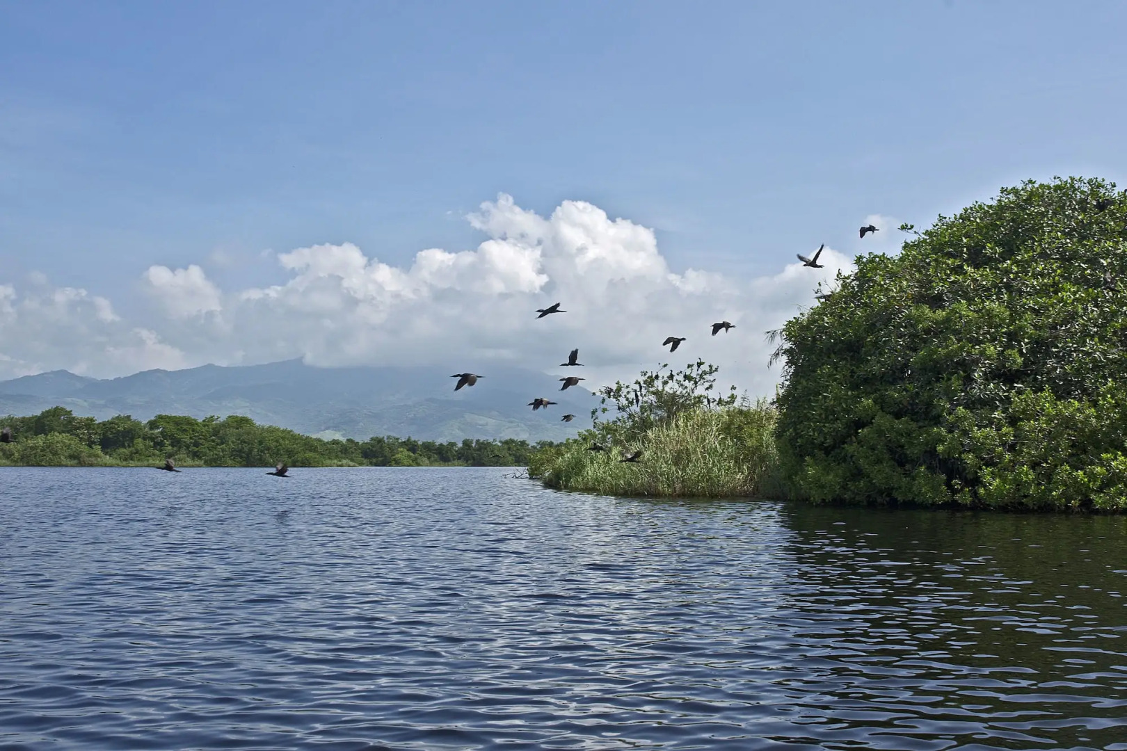 Marea Beachfront Villas