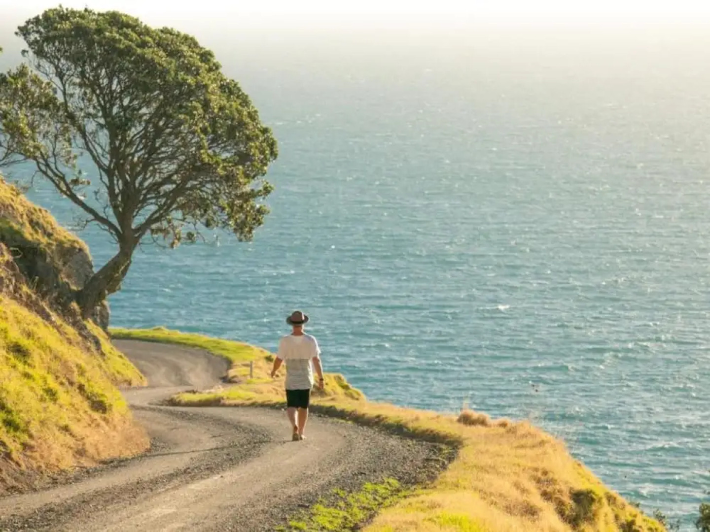Coromandel Shelly Beach TOP 10 Holiday Park