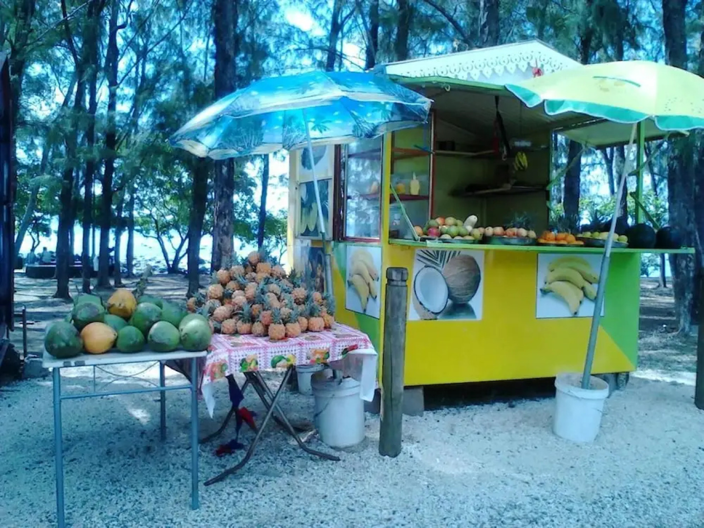 Villa with 3 Bedrooms in Pointe Aux Piments, with Wonderful Mountain View, Private Pool, Furnished Terrace