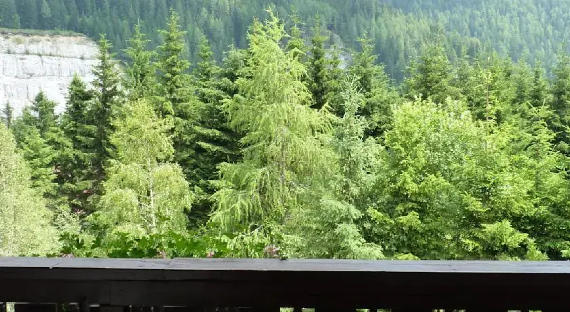 Appartements Lärchenhof