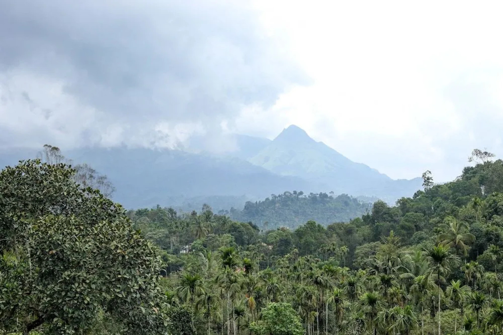 Wayanad Ranches Resorts