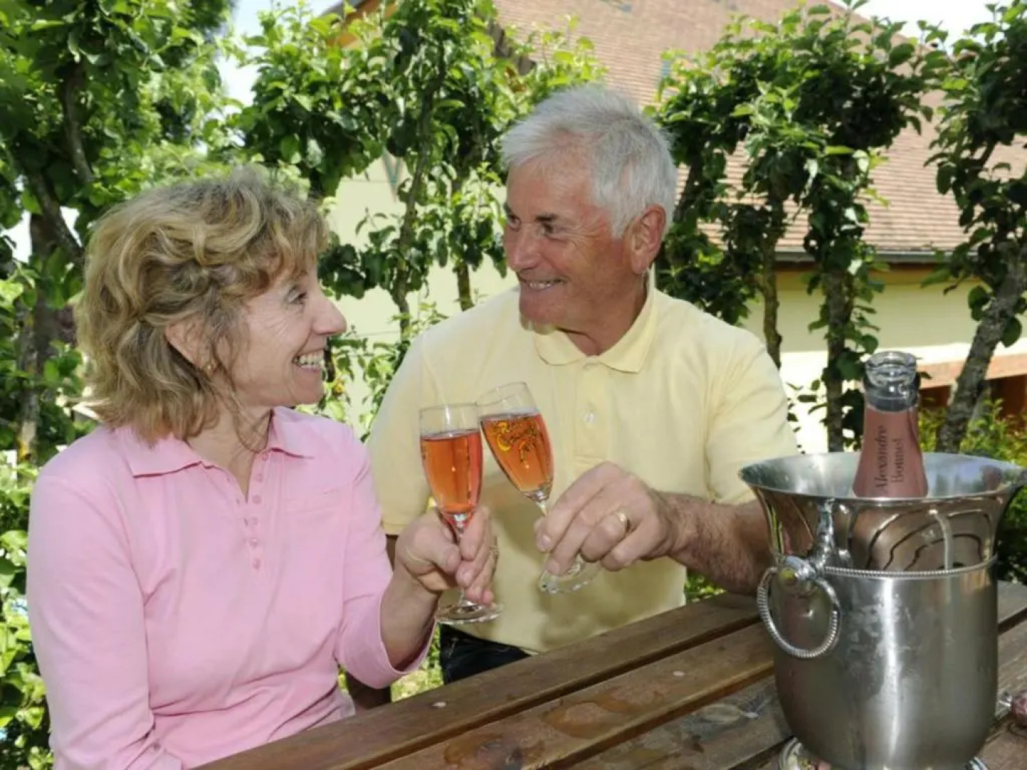 Gîte Balnot-sur-Laignes, 3 pièces, 6 personnes - FR-1-543-15