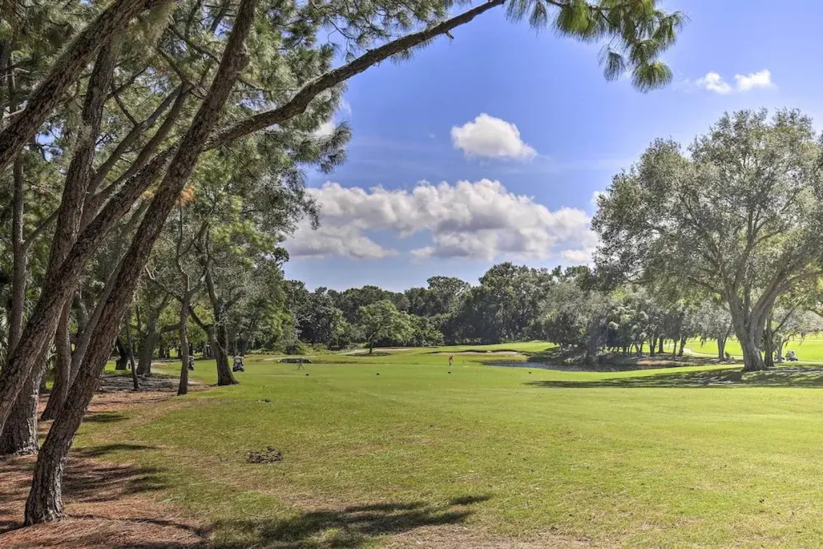 Large Tampa-area Condo - 15 Mi Clearwater Beach!