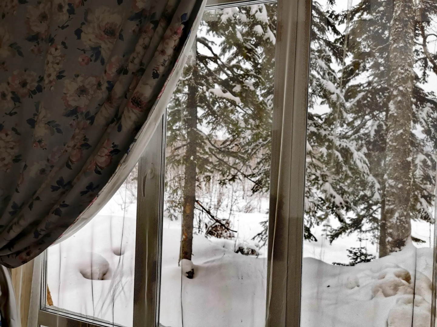 Сила Сибири