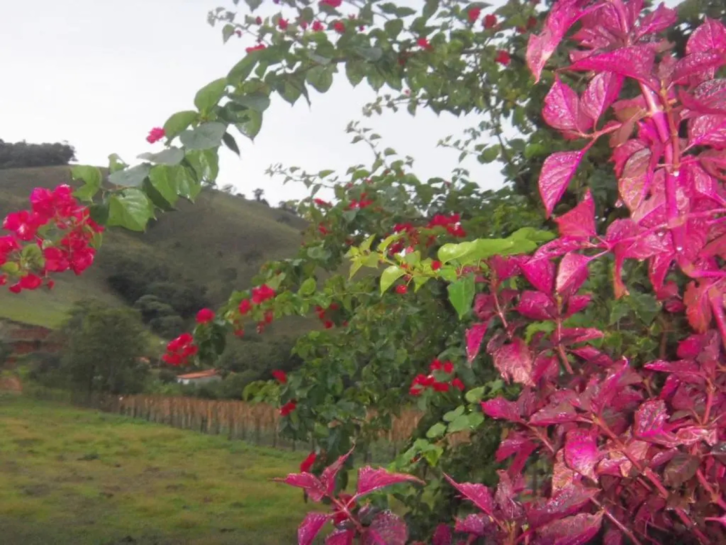 Pousada Rota Dos Passaros