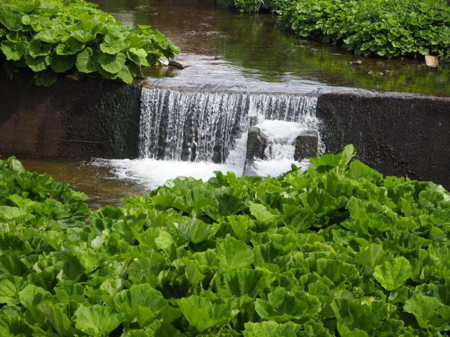 Hotel Pension Cafe Wolfsbach