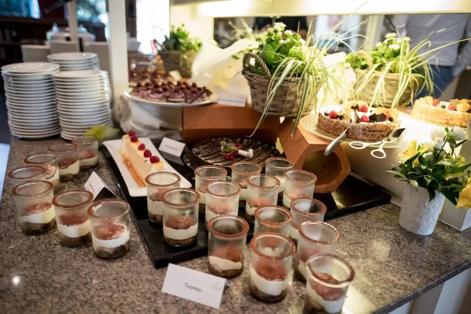 Fischland Ferienhäuser