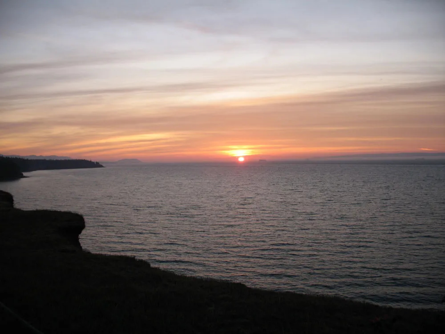 Sea Cliff Gardens Bed & Breakfast