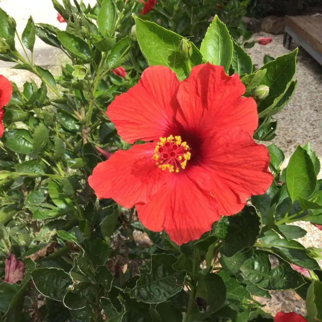 The Croft Bed and Breakfast