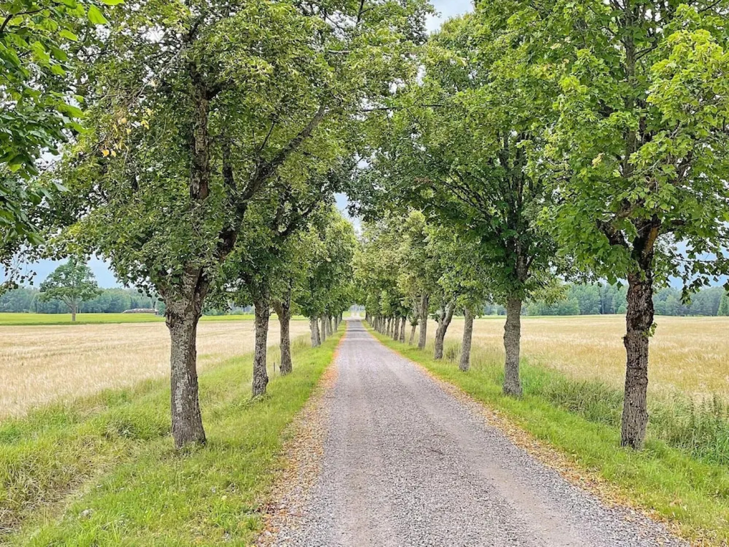 5 Star Holiday Home in Hjortkvarn-by Traum