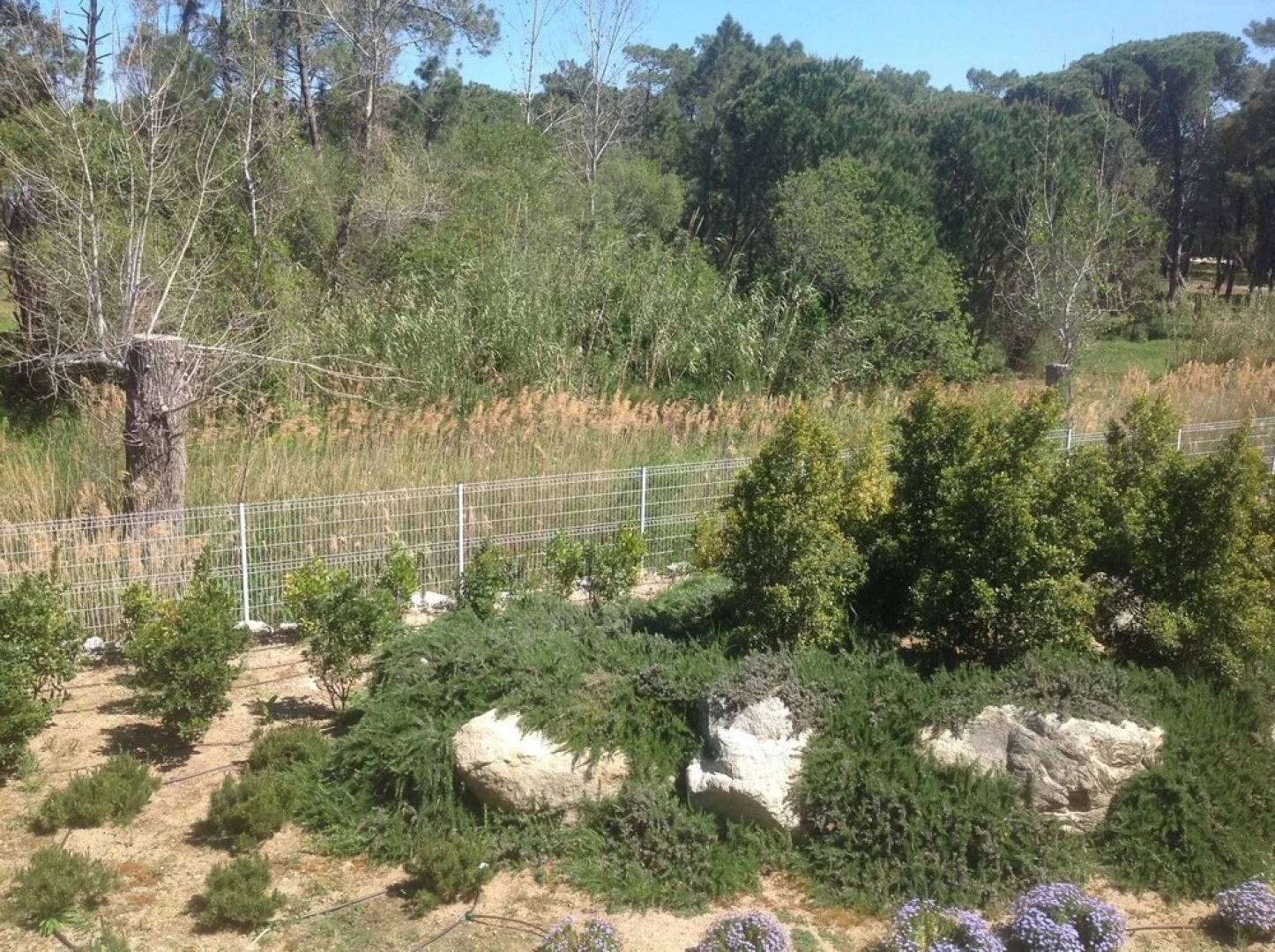 Apartment With one Bedroom in Calvi, With Wonderful sea View, Furnishe