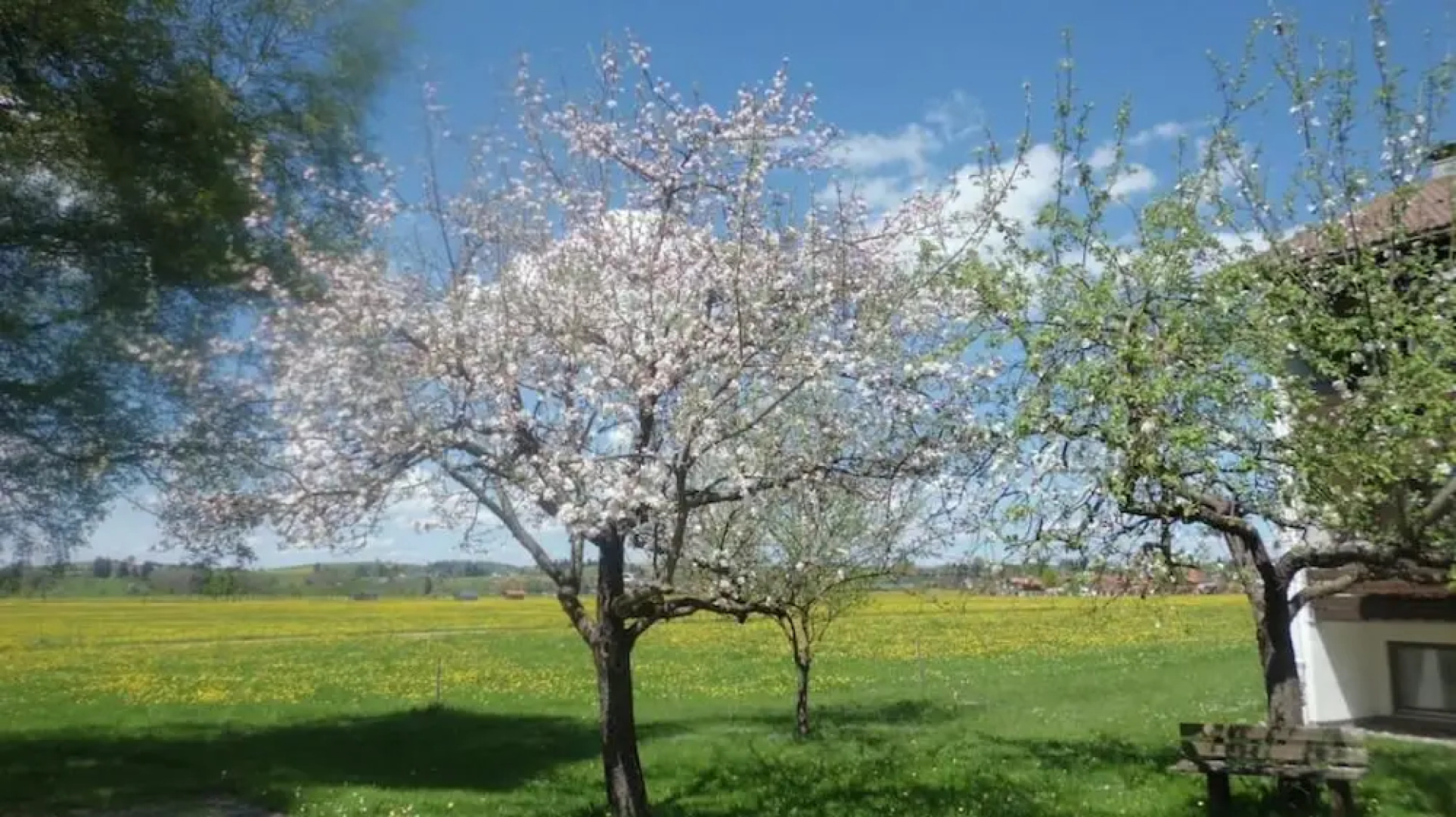 Alpengasthof Geiselstein
