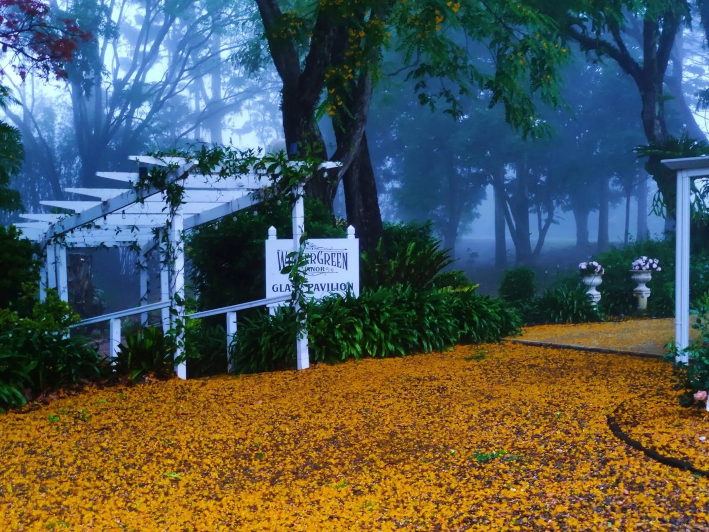 WinterGreen Manor at Maleny