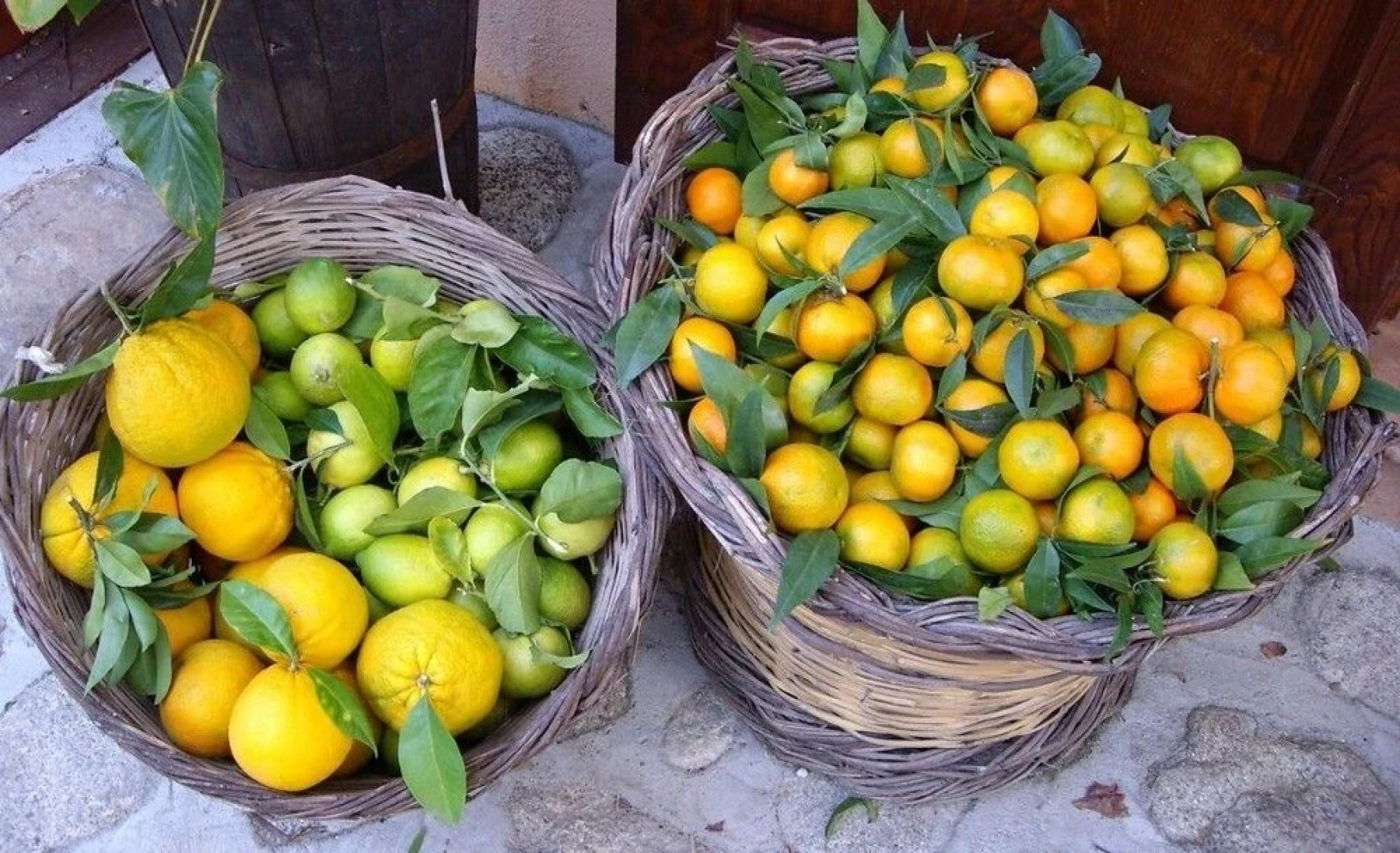 Agriturismo A Lanterna