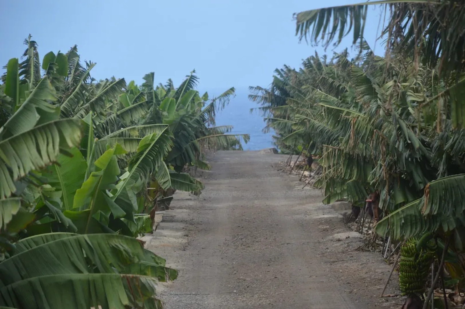 La Hacienda, Free Wifi+bbq