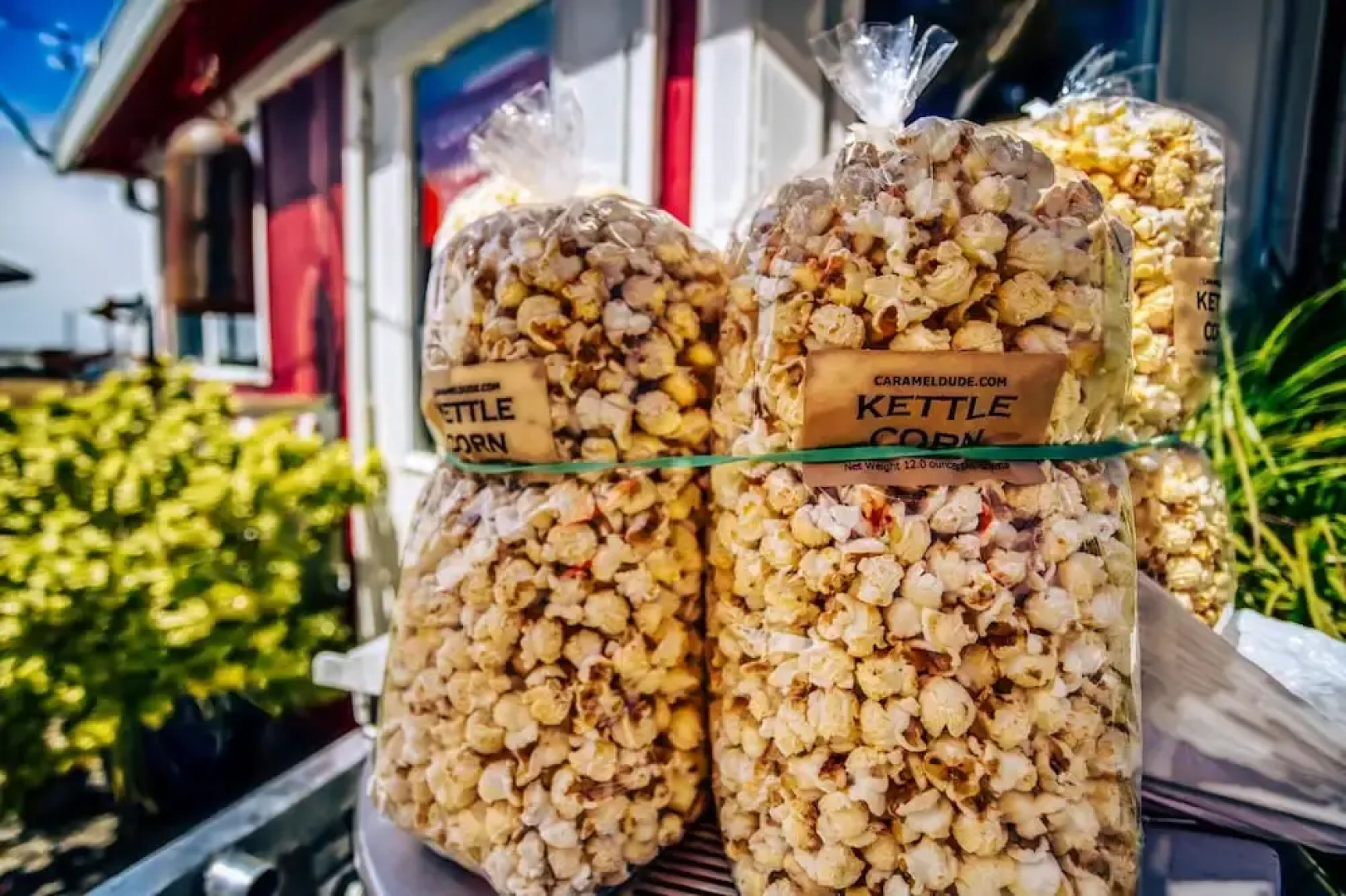 Crow's Coastal Cottage