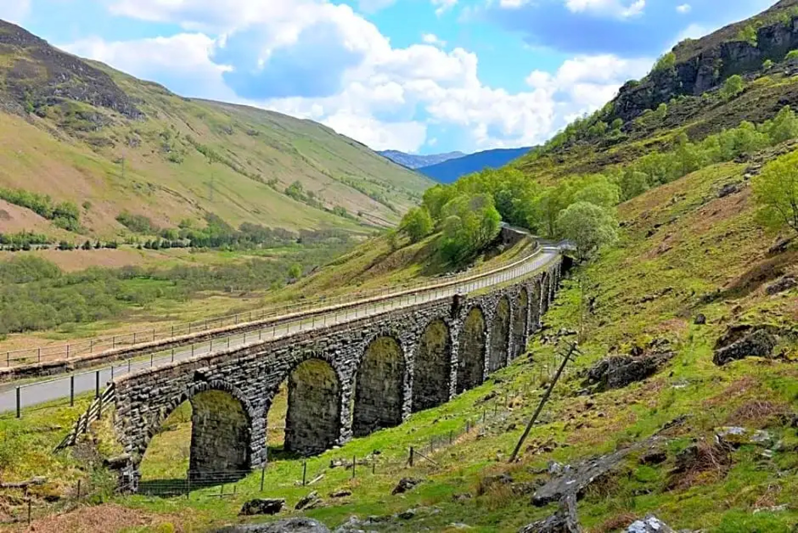 Cosy Rowan woodland lodge no3