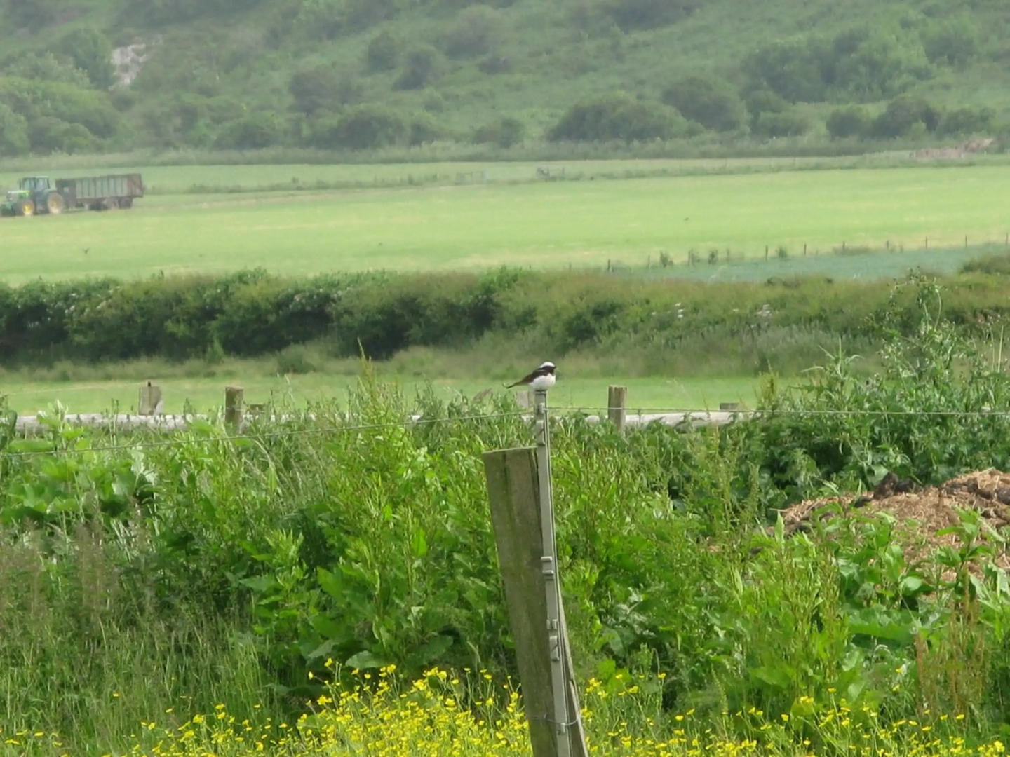 Tollgate Cottages Bed and Breakfast