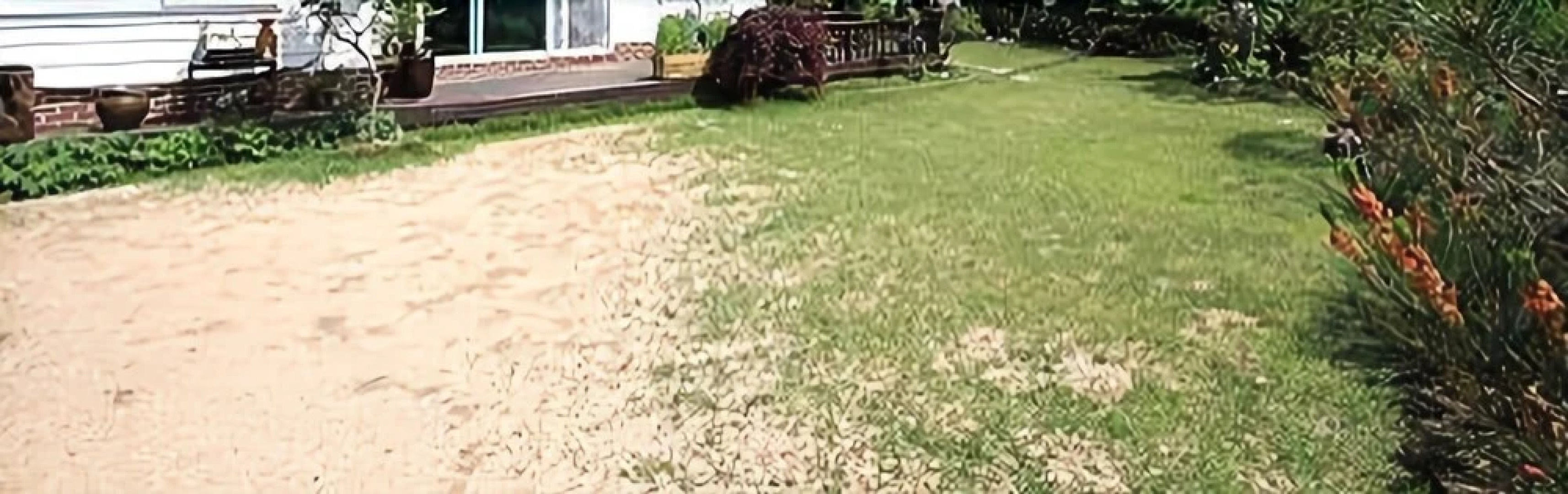 Yeoju Mineral Spring Pension