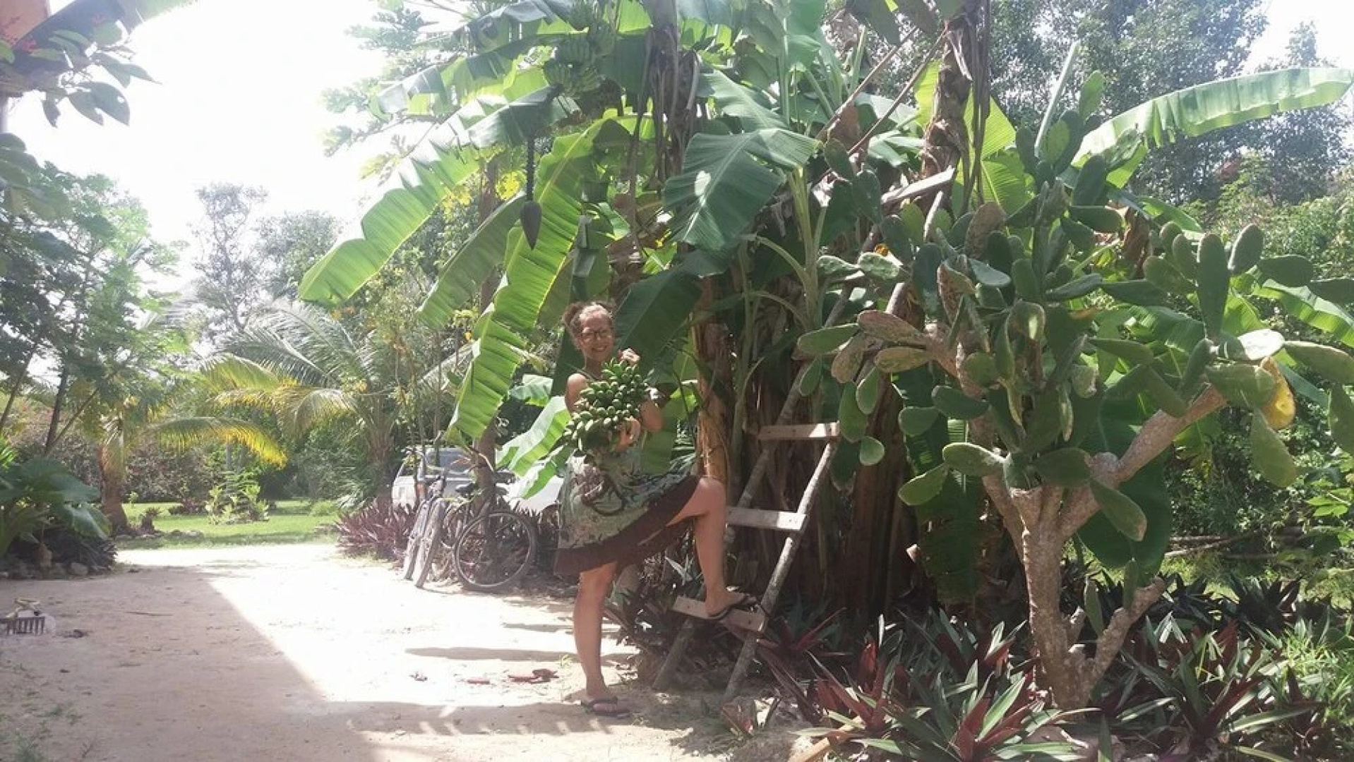 Serenity Retreats Belize -A Vegan Resort