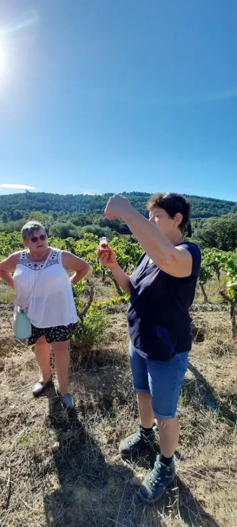 Gîte et Chambres d'hôtes  Le Coq du Nord - Mailhac