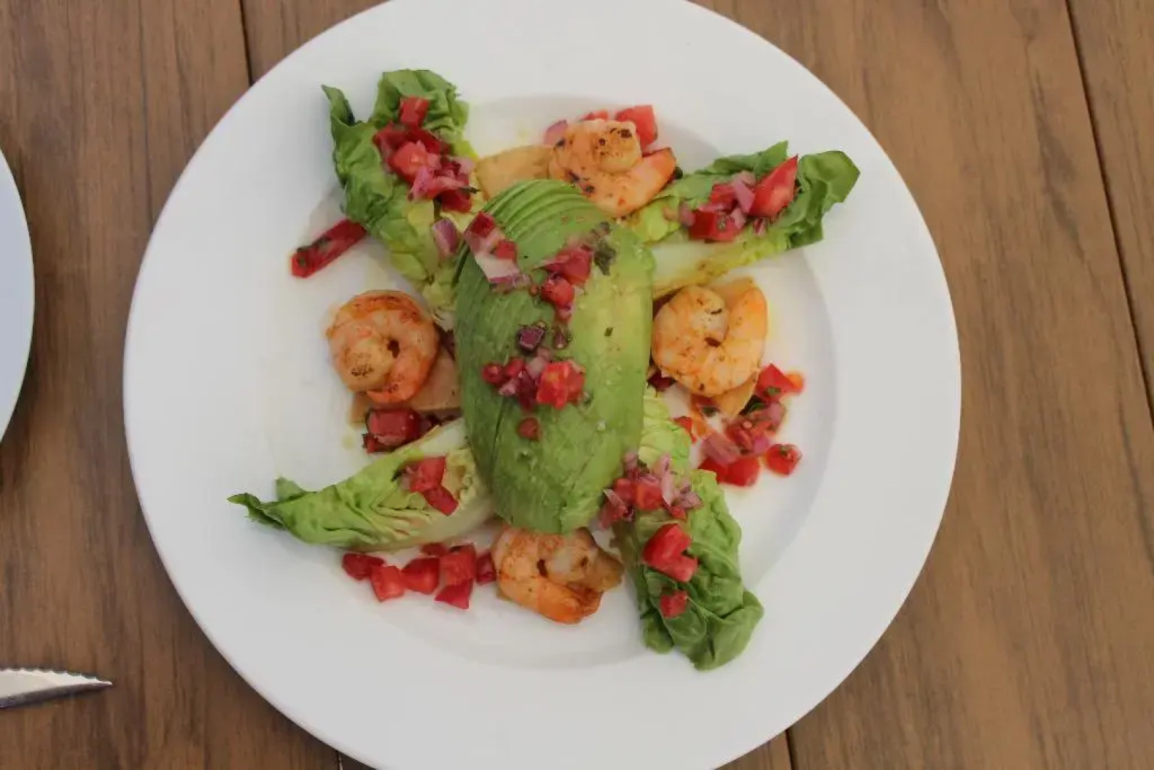 Nou Dalt Muntanya Rural Hotel