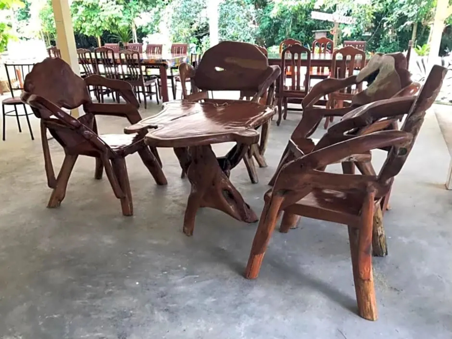 Tree in town ทรีอินทาวน์