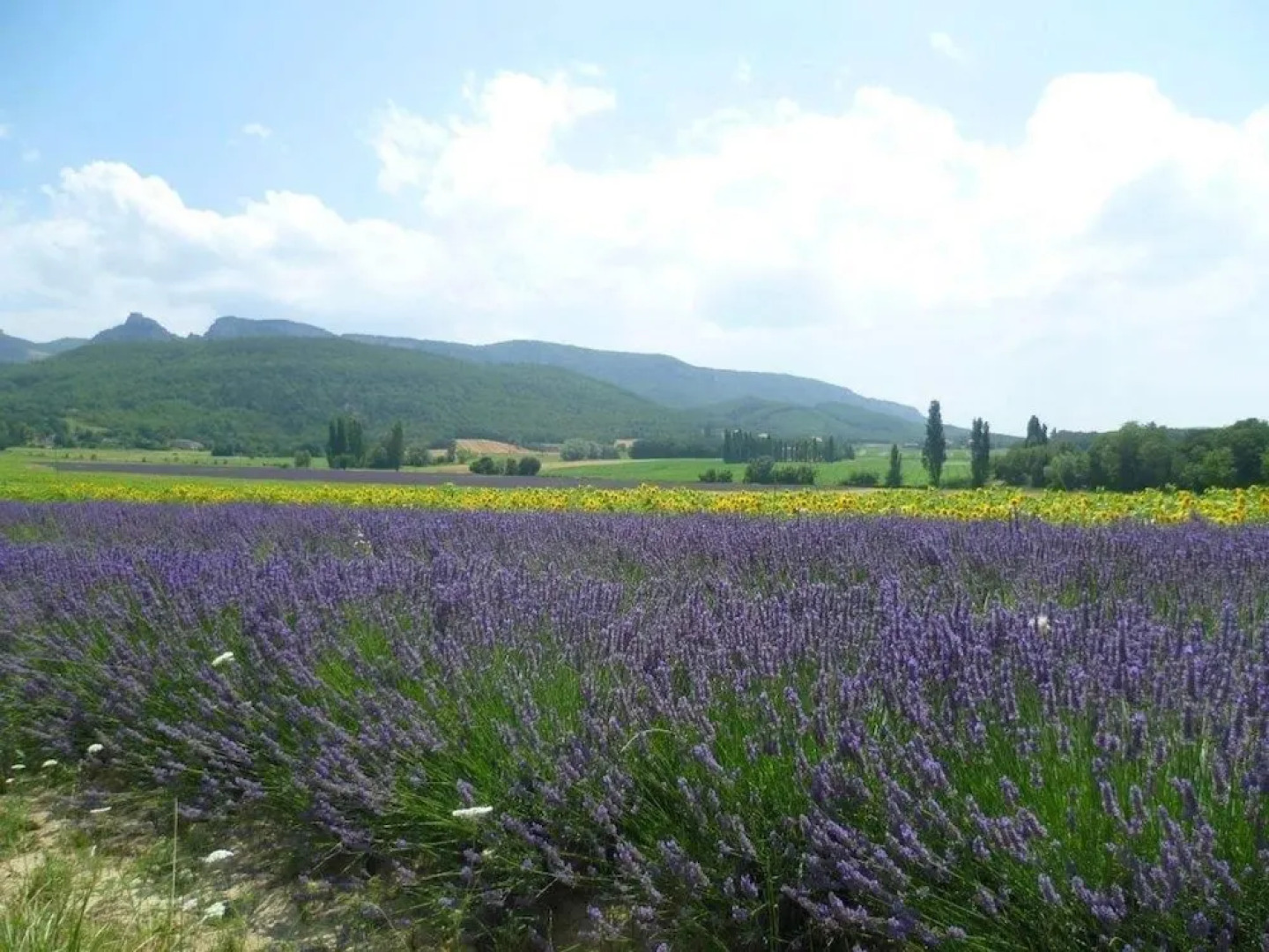 Characteristic Appartement With Swimming Pool, Completely Renovated