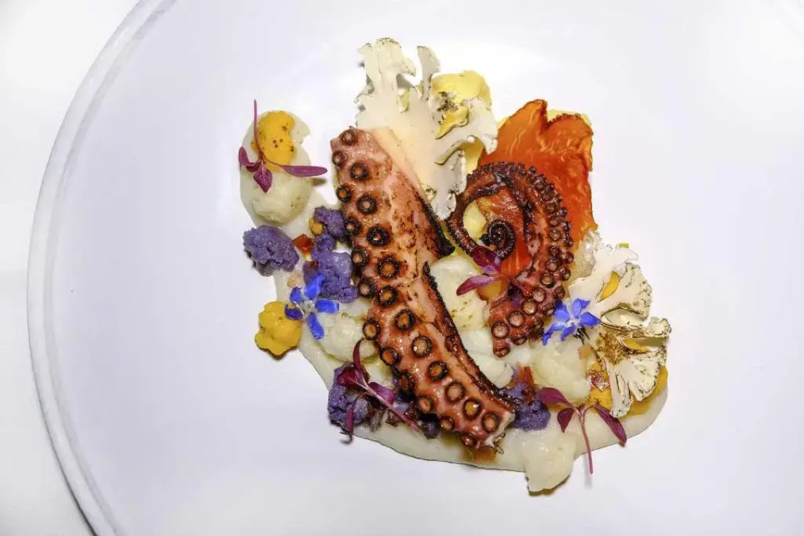 Bordoy Grand House Algarve