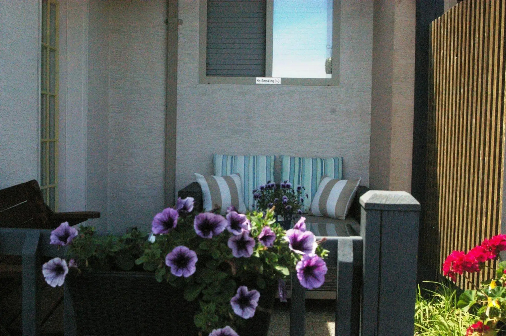 Shady Shores Beach Resort