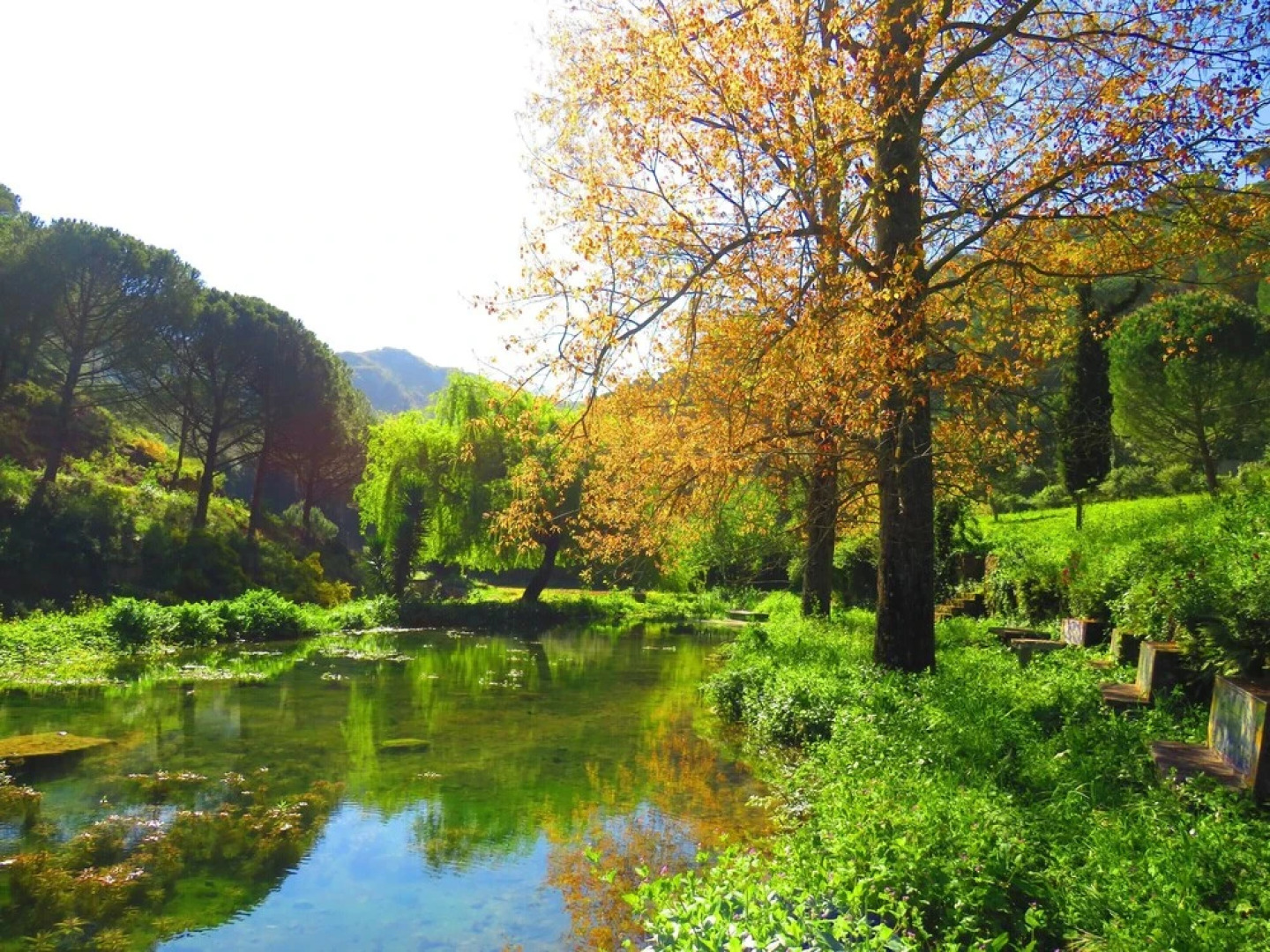 House With 4 Bedrooms in Porto de Mós, With Wonderful Lake View, Pool