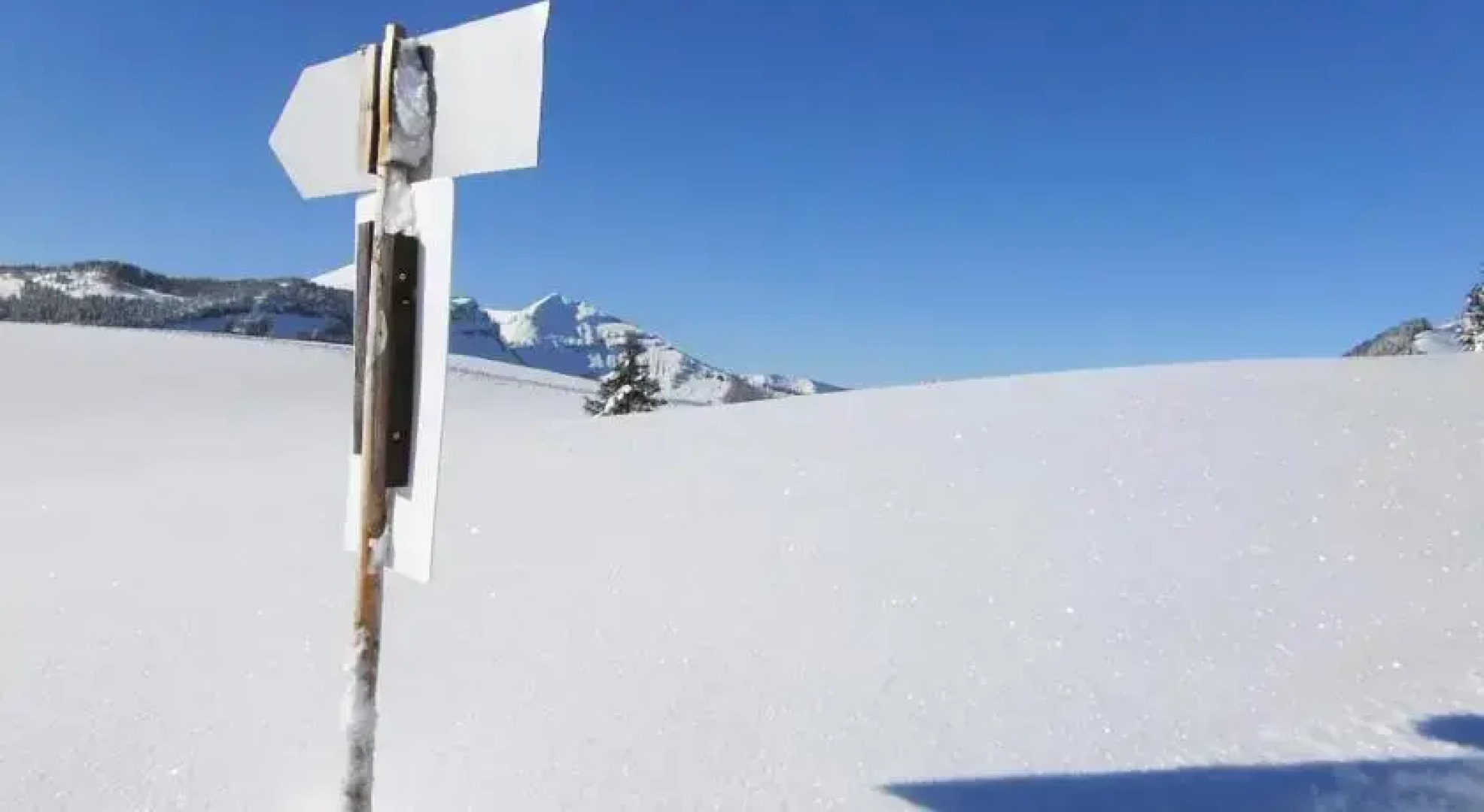 Appartementhaus Elisabeth Schöndorfer