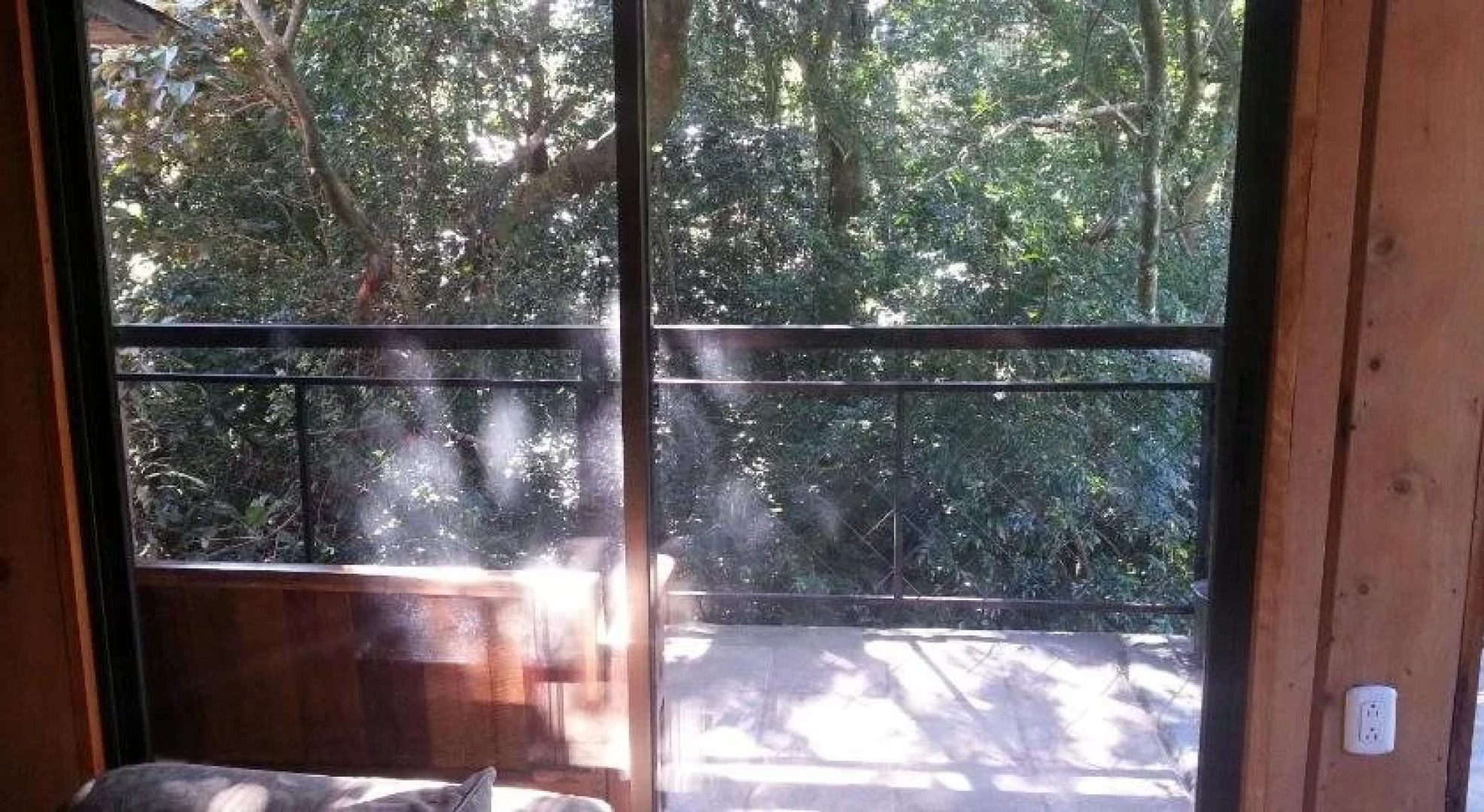 Manakin Lodge Monteverde