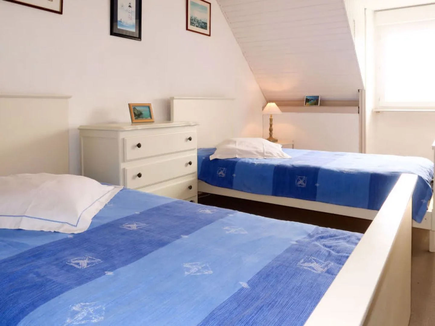 Les Hortensias (PGF100)