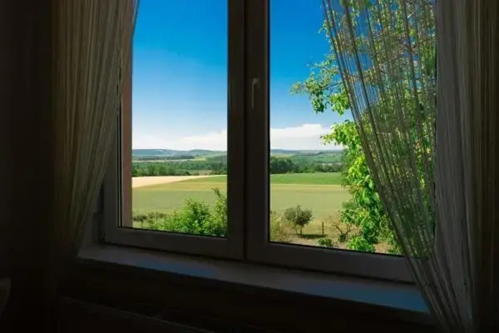 Hortenzia Vendeghaz Mor