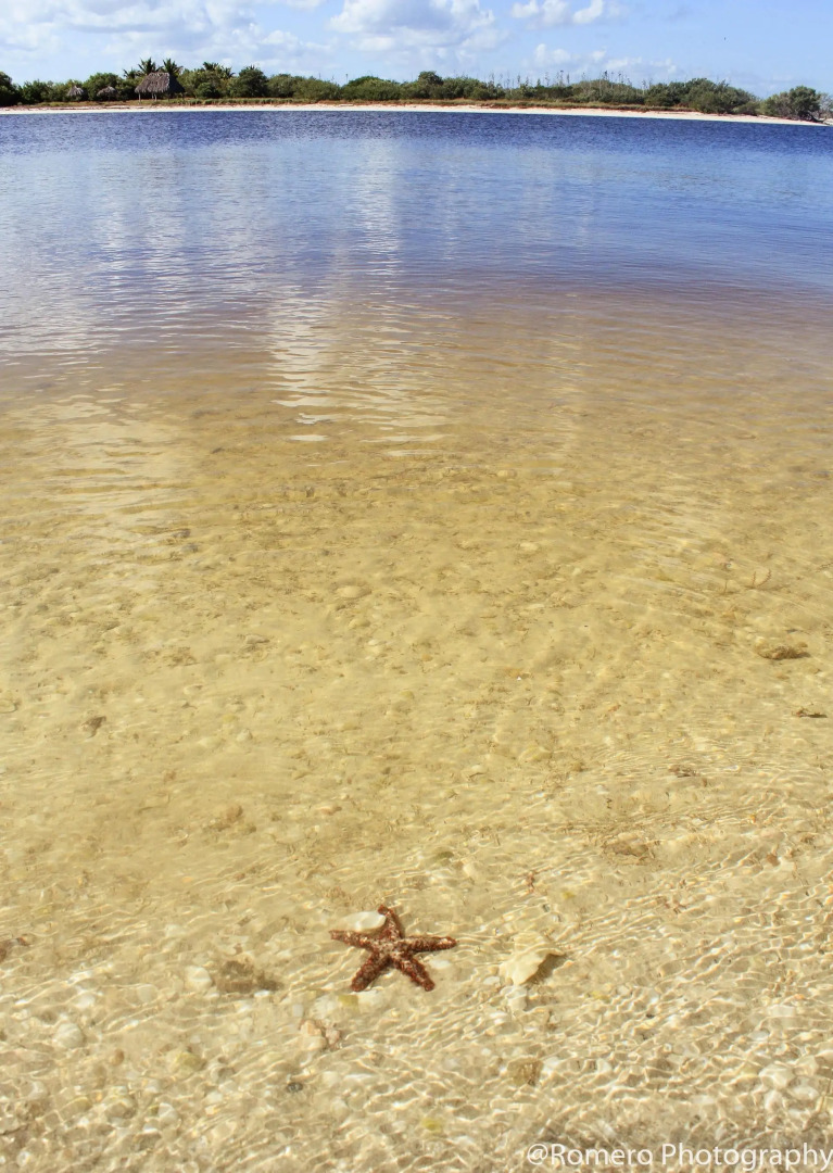 Yuum Ha Boutique Hotel