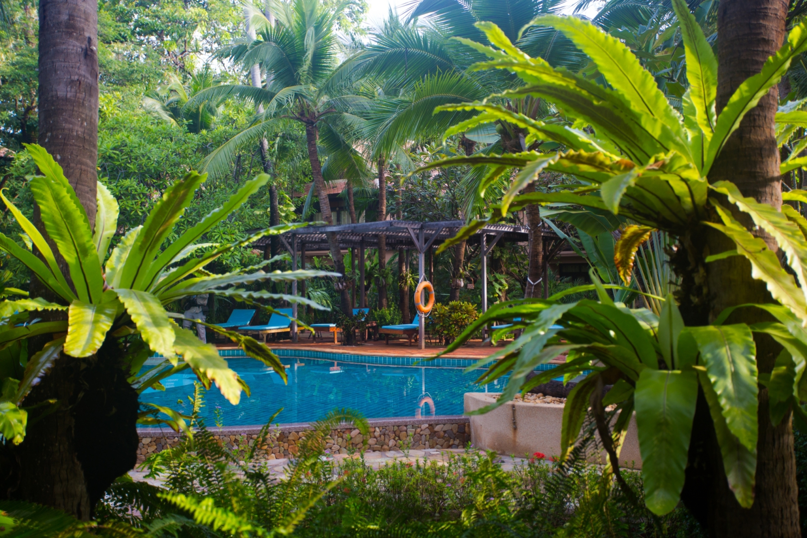 Rabbit Resort Pattaya