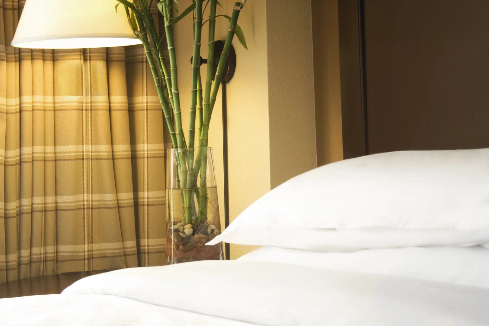 Sheraton Atlanta Perimeter North Hotel