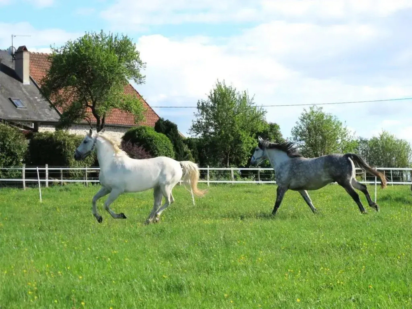 Maison du Cheval Blanc