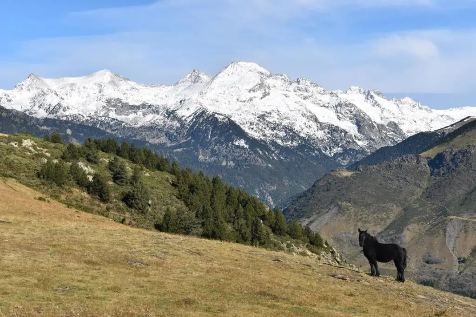 Apartament Vent de Port