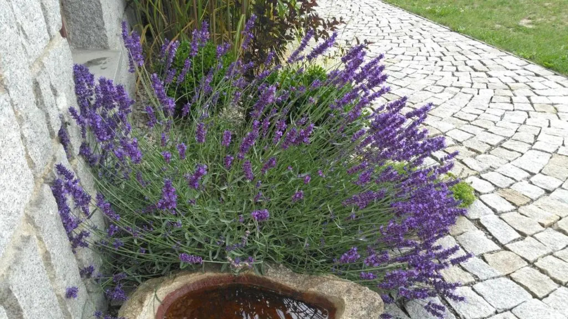 Penzion Pod Jáchymem