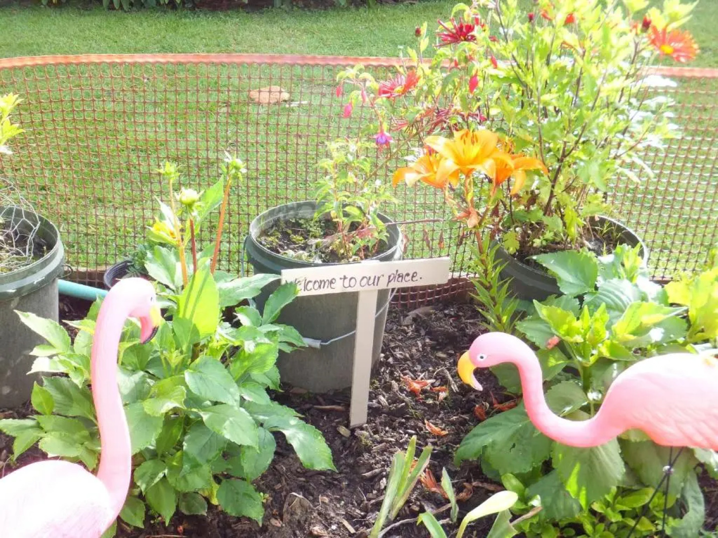 Ropatinis Homestay Bed  Breakfast