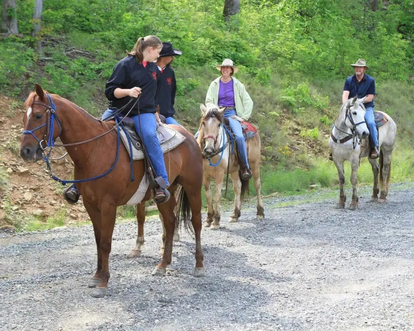 Albert's Lodge at Mt. Mitchell