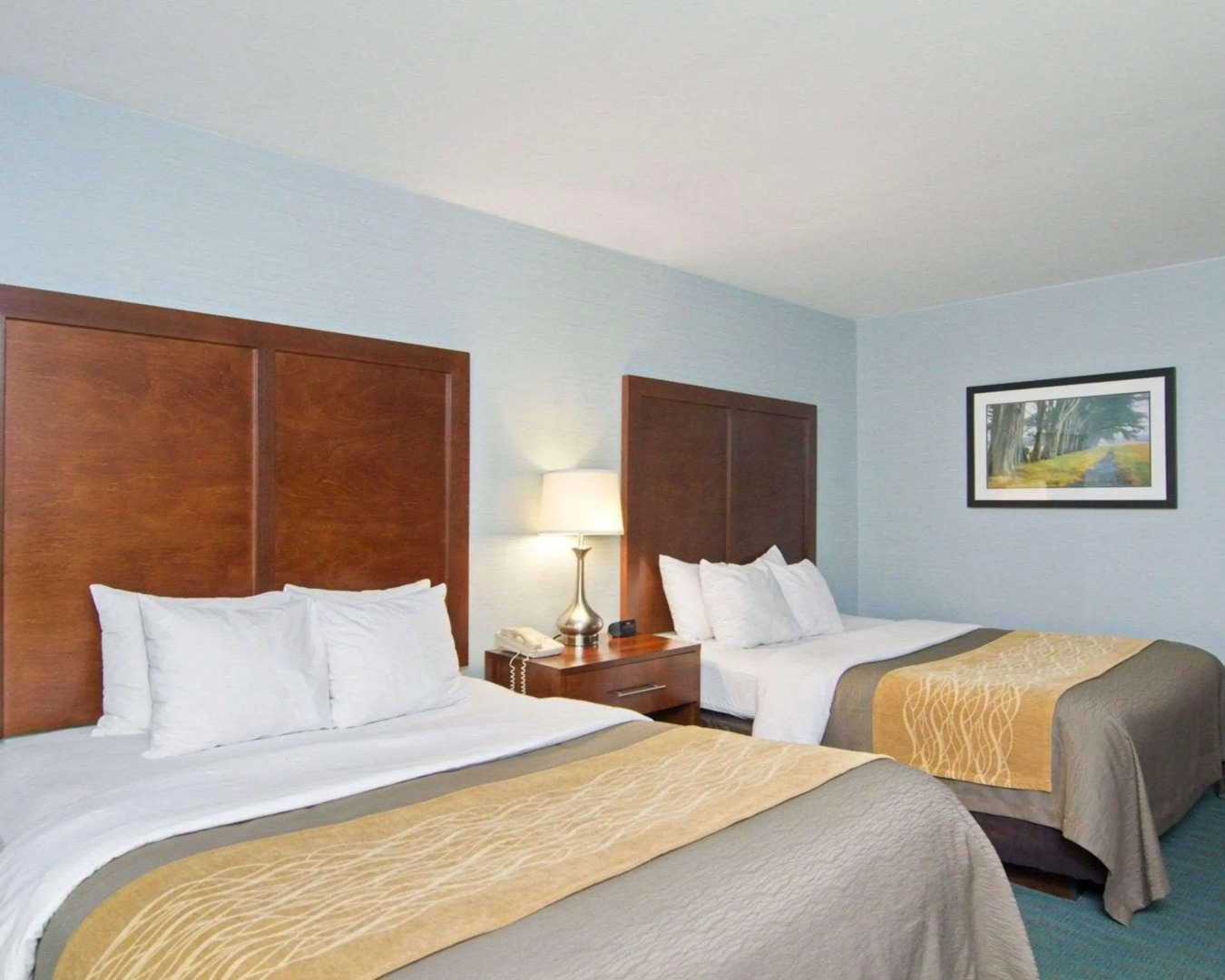 Comfort Inn Monticello