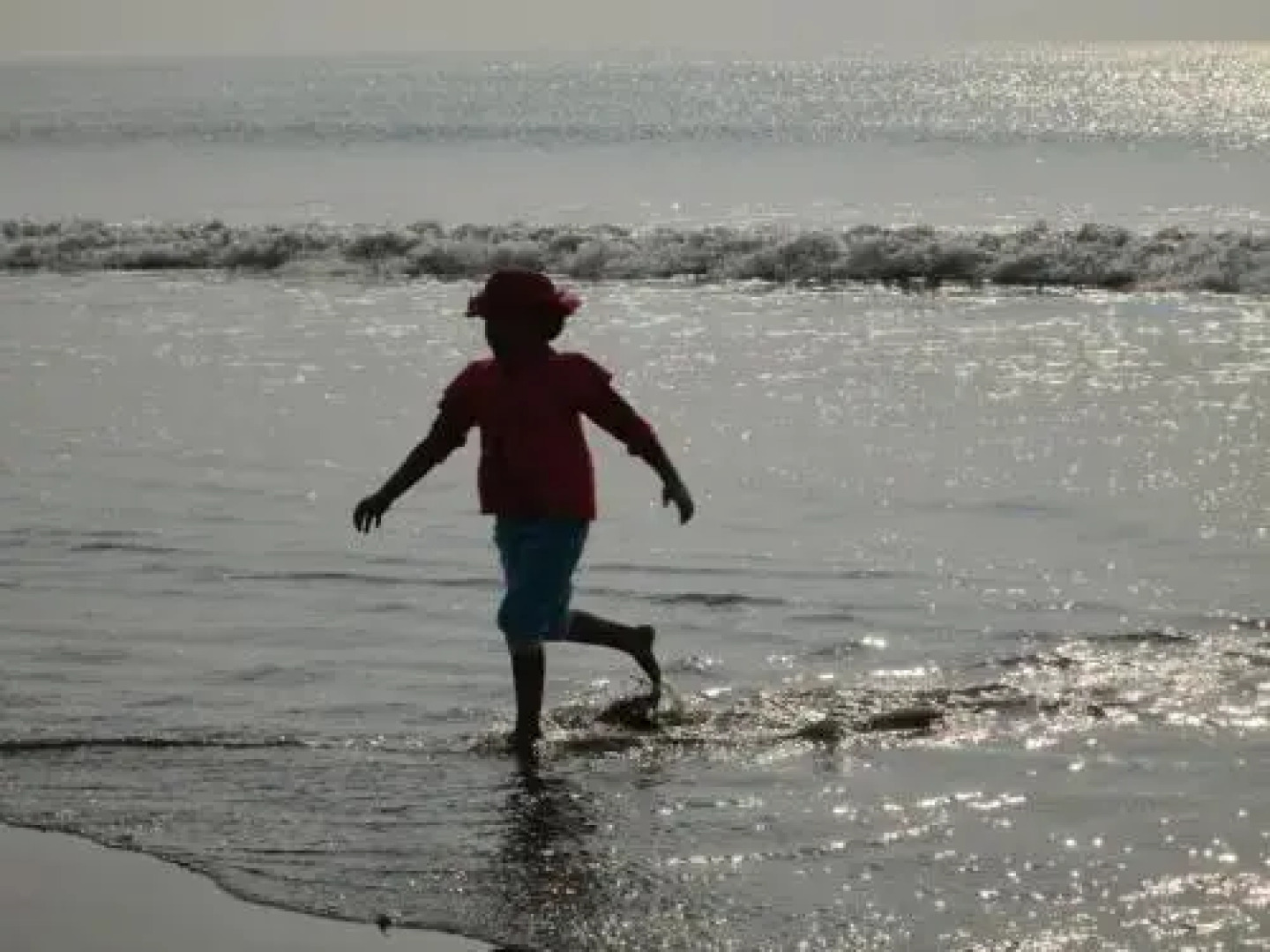 Neelanjana's Hotel Hindustan