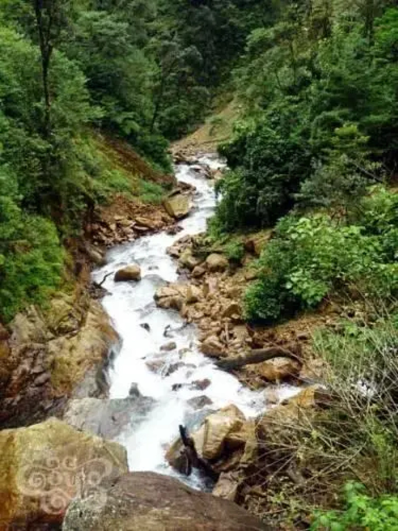 Cabaña Santa Cruz Tepetotutla