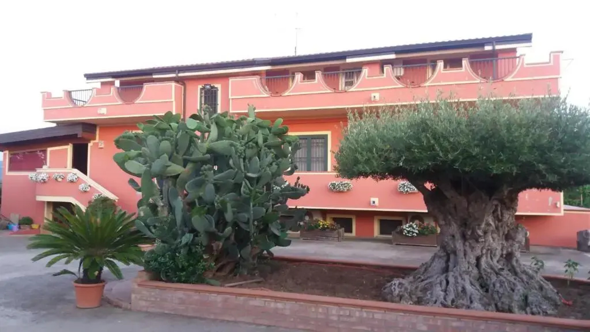 Le Palme Bed And Breakfast