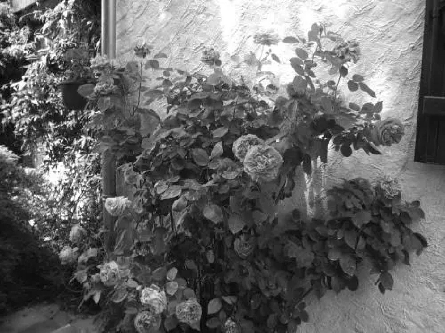 Chambres dHôtes des Caissons