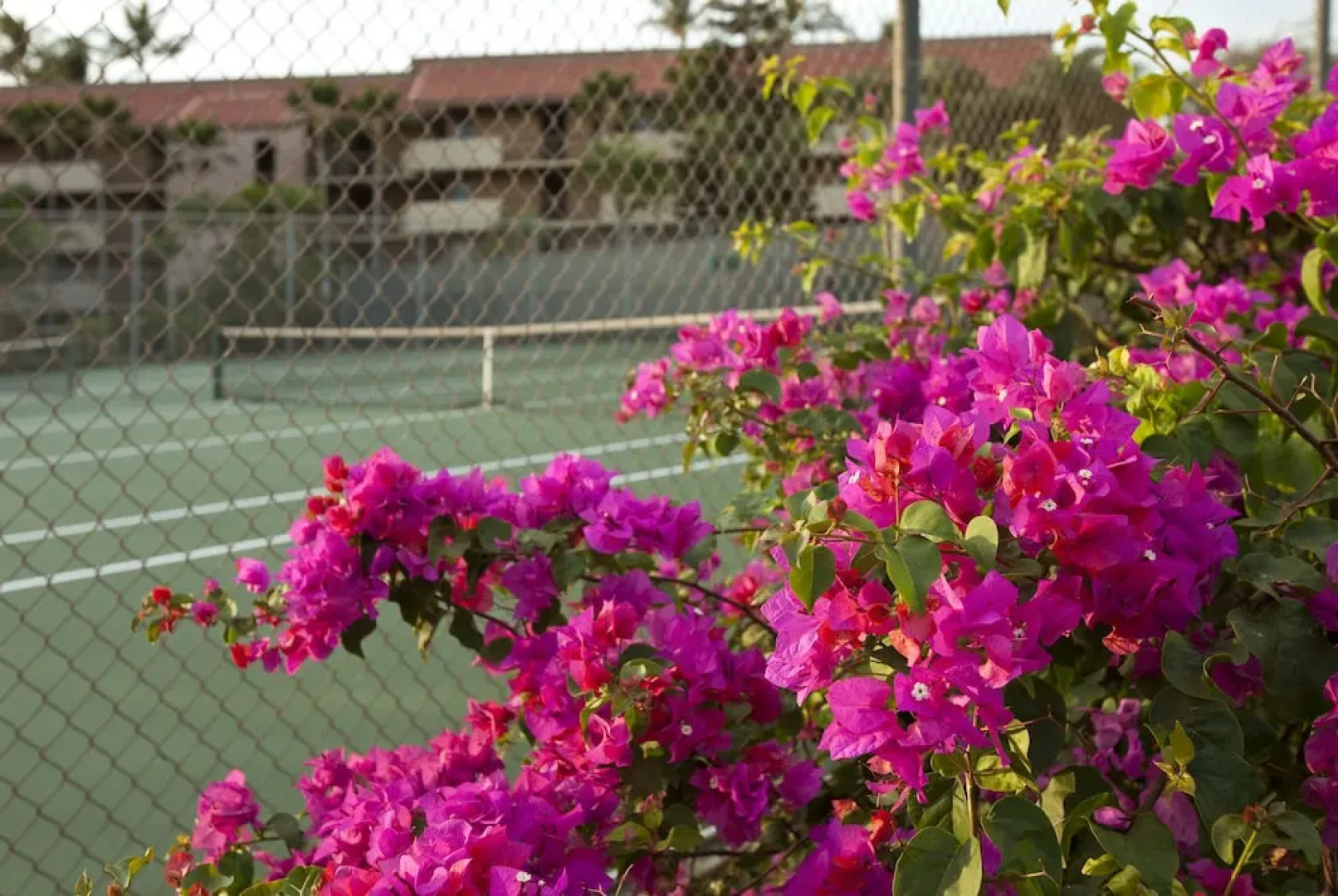 Maui Vista – Maui Condo & Home